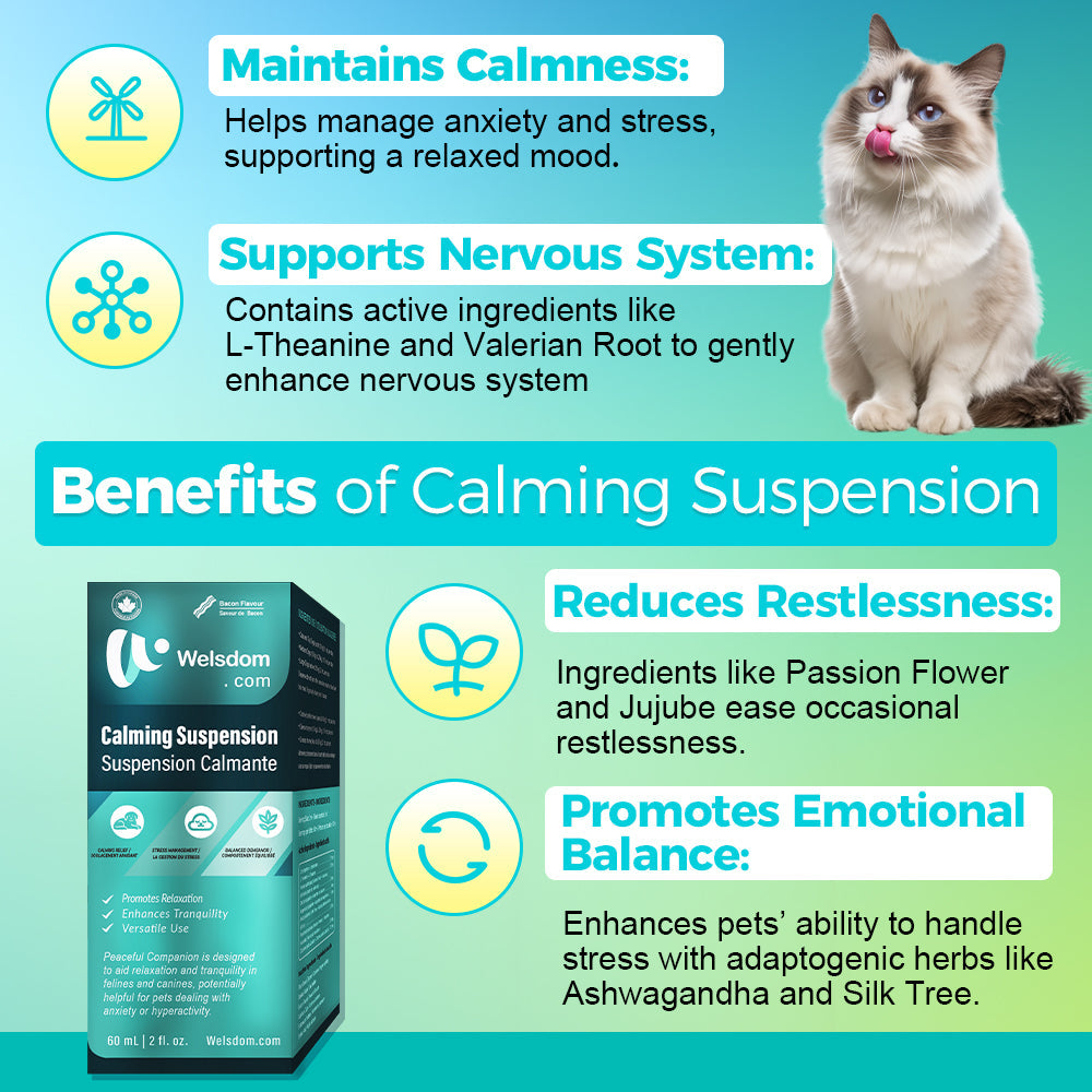 Paws & Calm! Canadian Calming Comfort Drops – 60mL