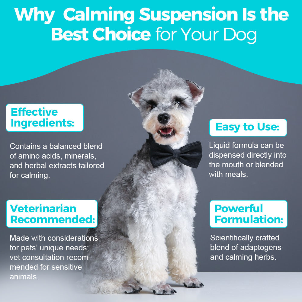 Paws & Calm! Canadian Calming Comfort Drops – 60mL
