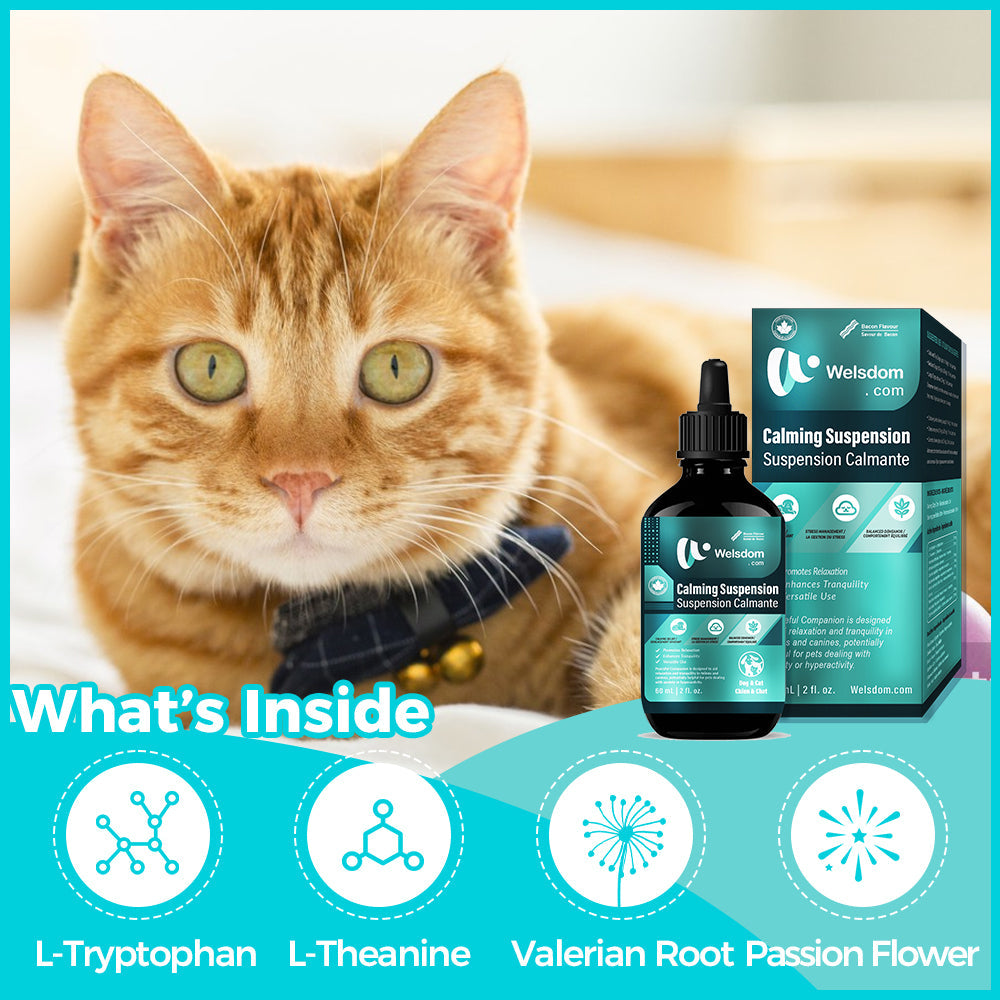Paws & Calm! Canadian Calming Comfort Drops – 60mL